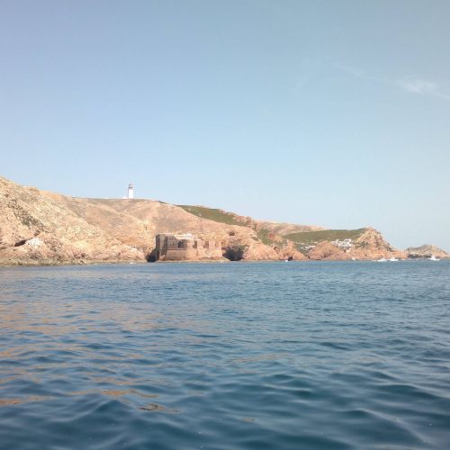 berlengas_10