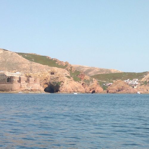 berlengas_11