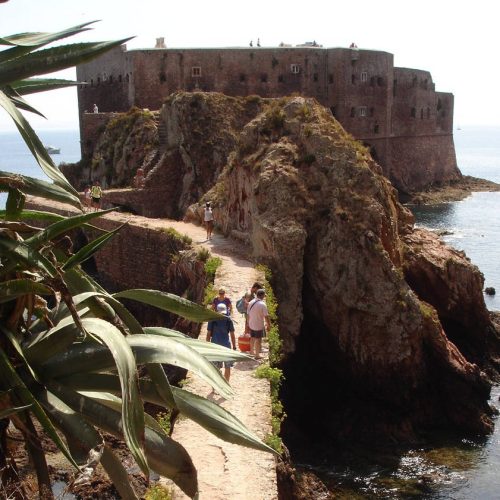 berlengas_18