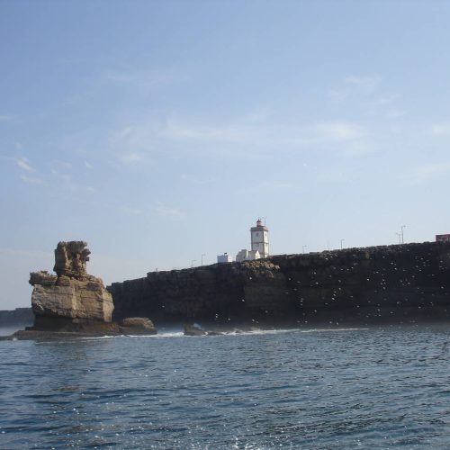 berlengas_8