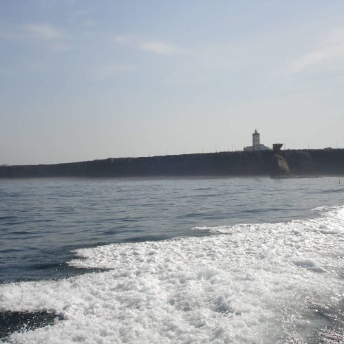 berlengas_9