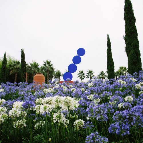 buddha_eden_10