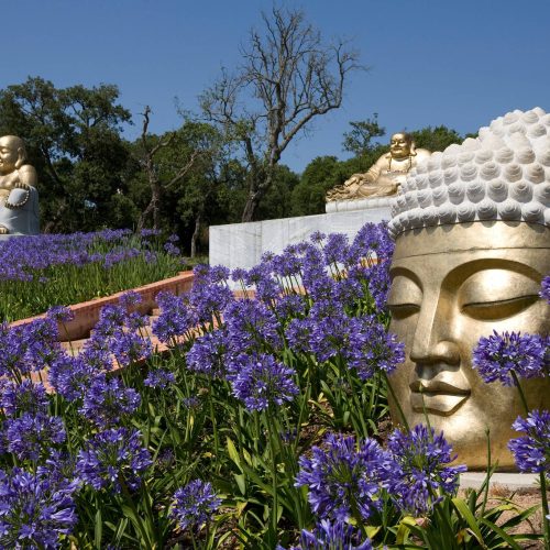 buddha_eden_3
